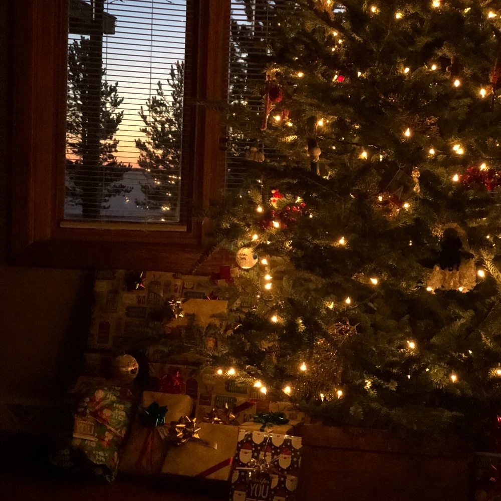 Meet your Posher, Ira